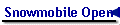 Snowmobile Open P-08