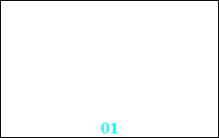 01