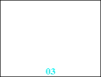 03