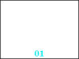 01